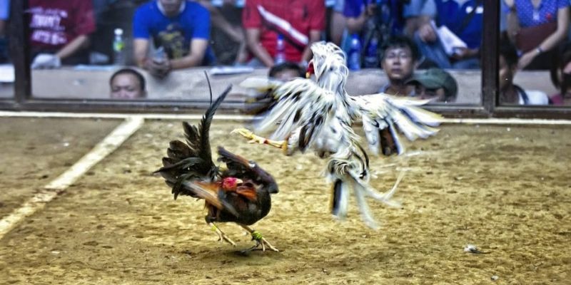 8ok ﻿đăng nhập lô đề uy tín