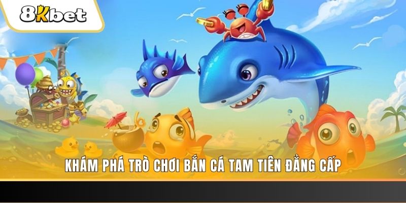 8ok slot tiếng anh la gì