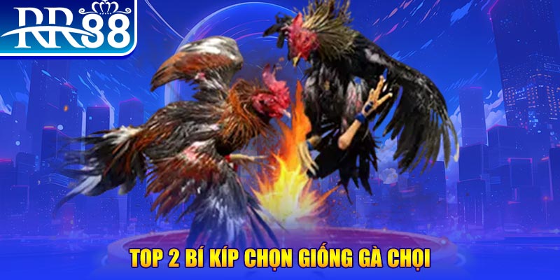 8ok bắn cá h5