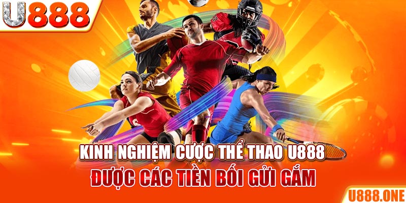 8ok ÁT CHỦ BÀI GIÀNH LẤY ZHUANG NIUNIU ( XEM 3 LÁ )