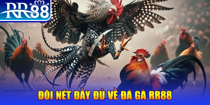 gà chọi hoà phong