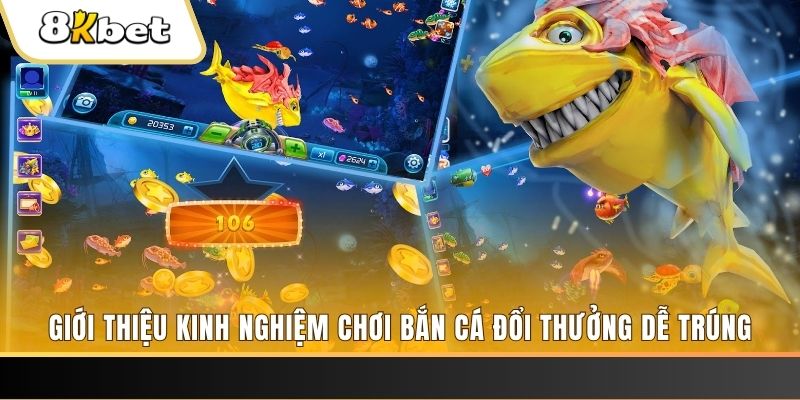 8ok xổ số miền bắc hôm