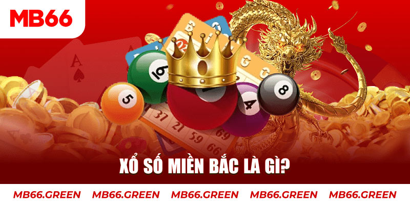 8ok đá gà 88