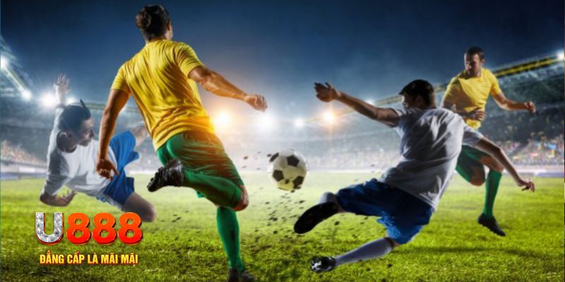 8ok trực tiếp đá gà c1 hôm nay