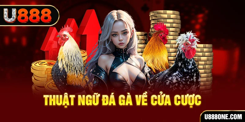 8ok da ga 88