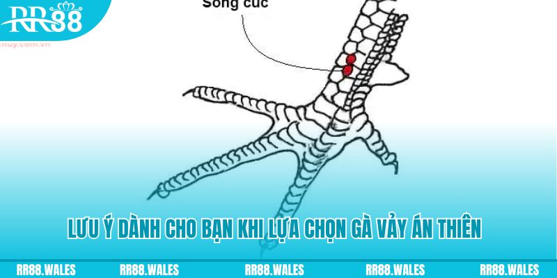 8ok xổ số khánh hòa
