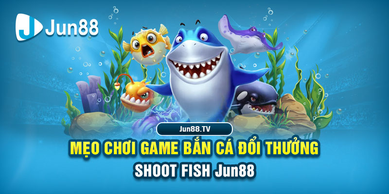 8ok tải game đánh bài online về máy tính