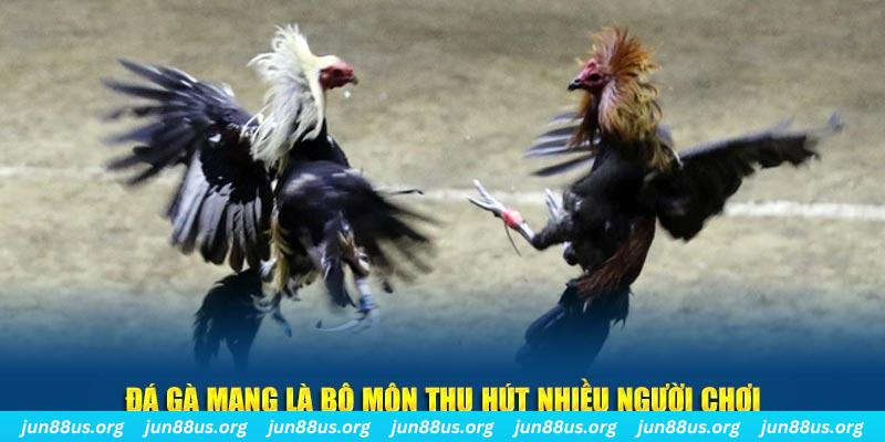 8ok xổ số long an