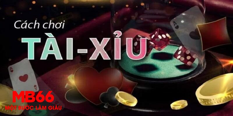 8ok 1 slot là gì