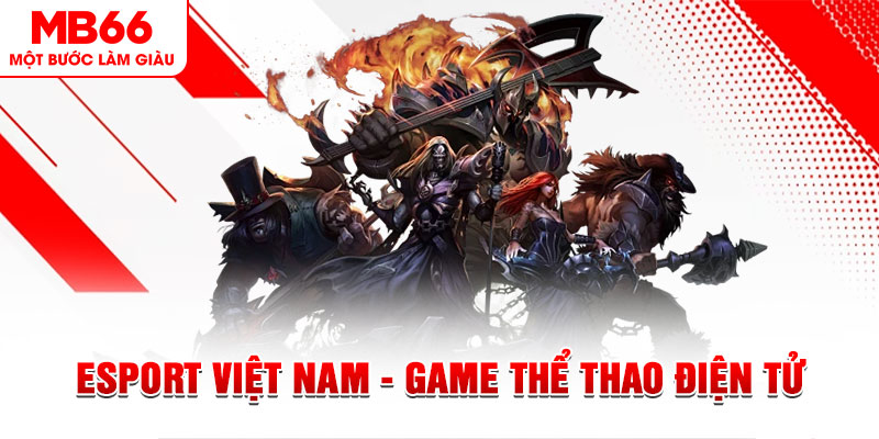 8ok PT Điện Tử