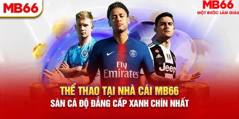 8ok mơ thấy nổ hũ đánh con gì