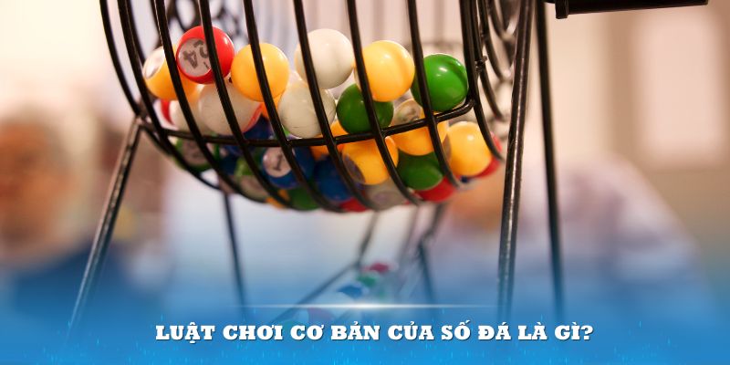 8ok Đĩa màu ace
