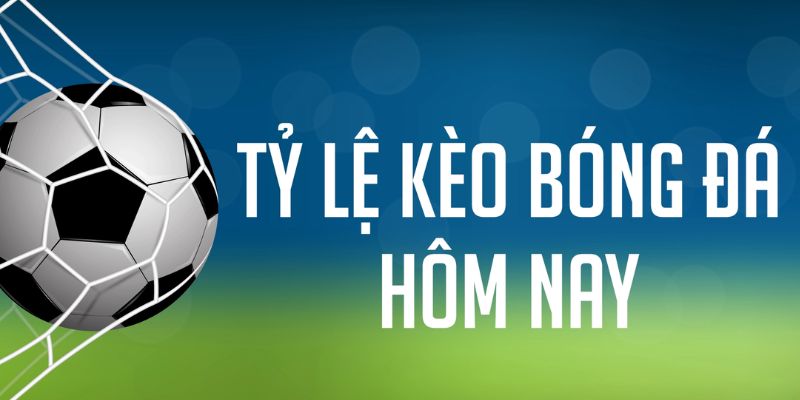 8ok ÁT CHỦ MÁY HOA QUẢ THẦN TÀI