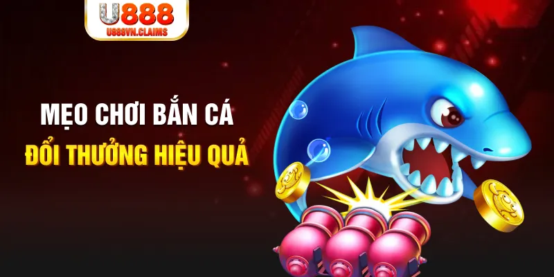 8ok xổ số thứ năm hàng tuần