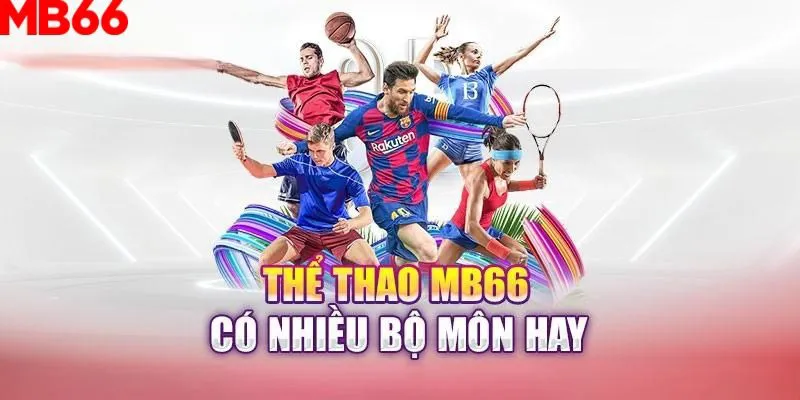 8ok slot là gì nghĩa