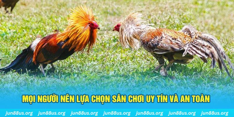 8ok Tài Xỉu