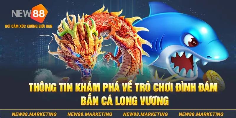 8ok choi ga c1