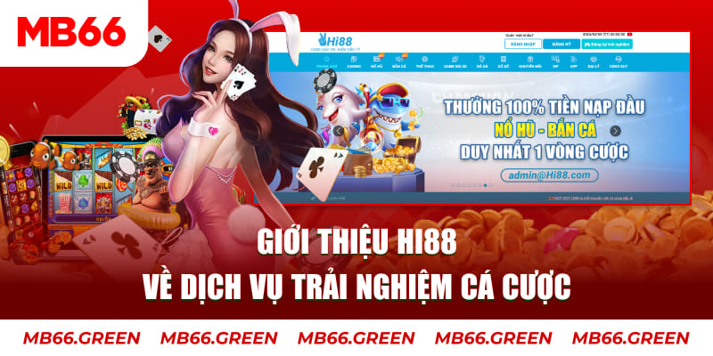 8ok máy tính casino