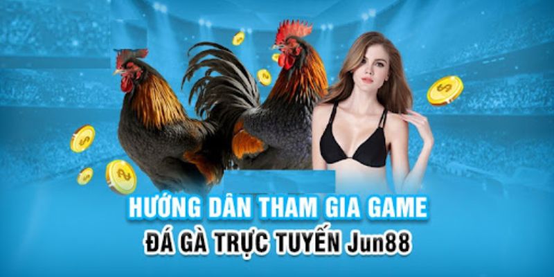 8ok slot có nghĩa là gì