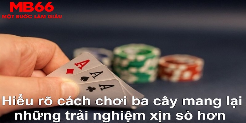 8ok DB Trực Tuyến