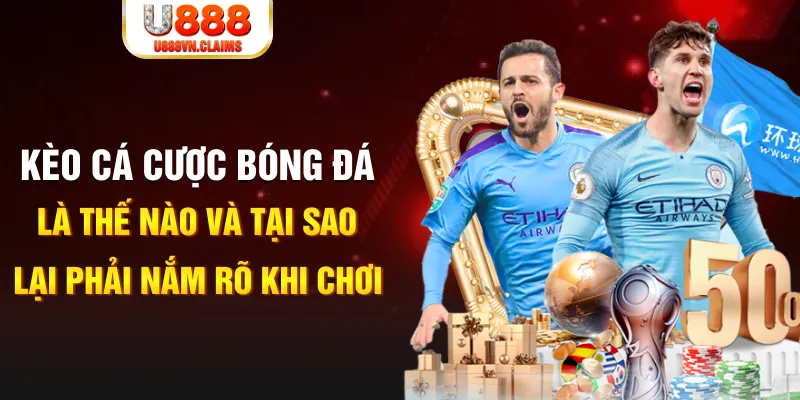 8ok Xì tố