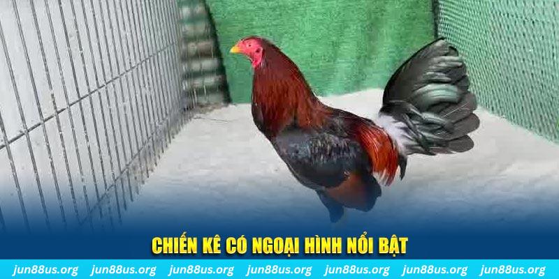 8ok nhạc slot là gì